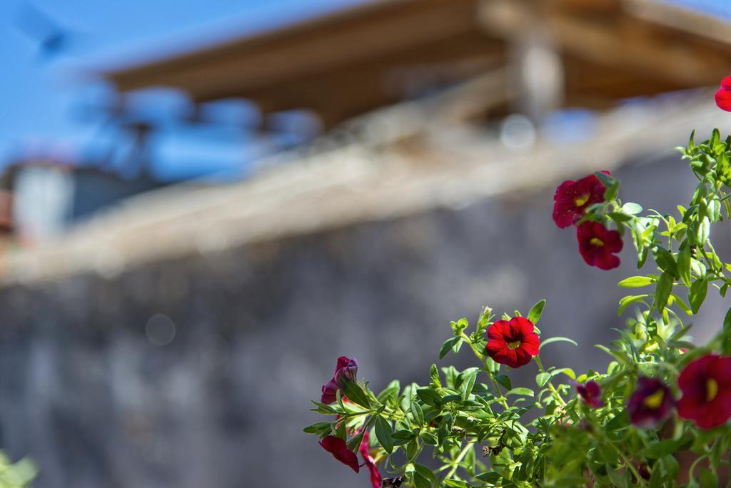 Fagotto Art Residences خانيا المظهر الخارجي الصورة