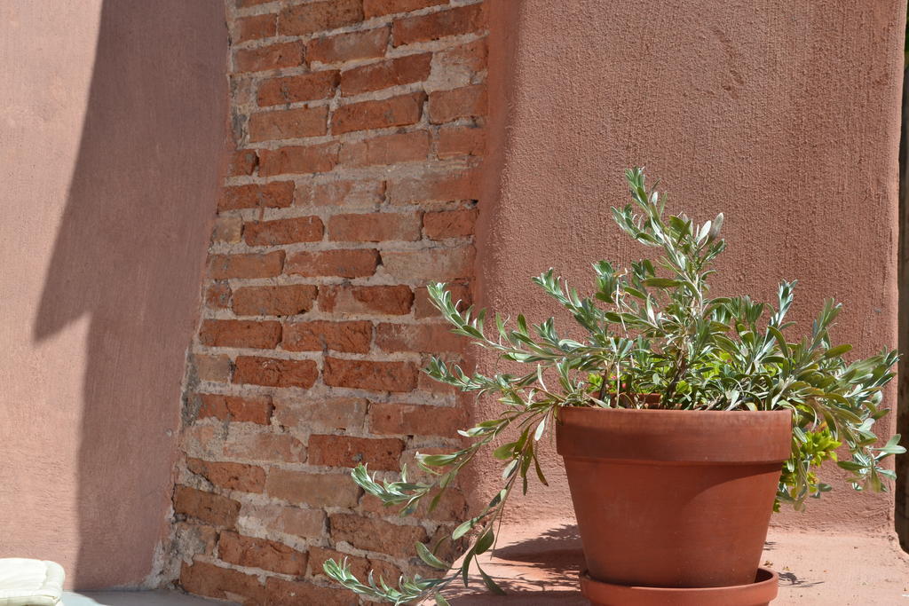 Fagotto Art Residences خانيا المظهر الخارجي الصورة